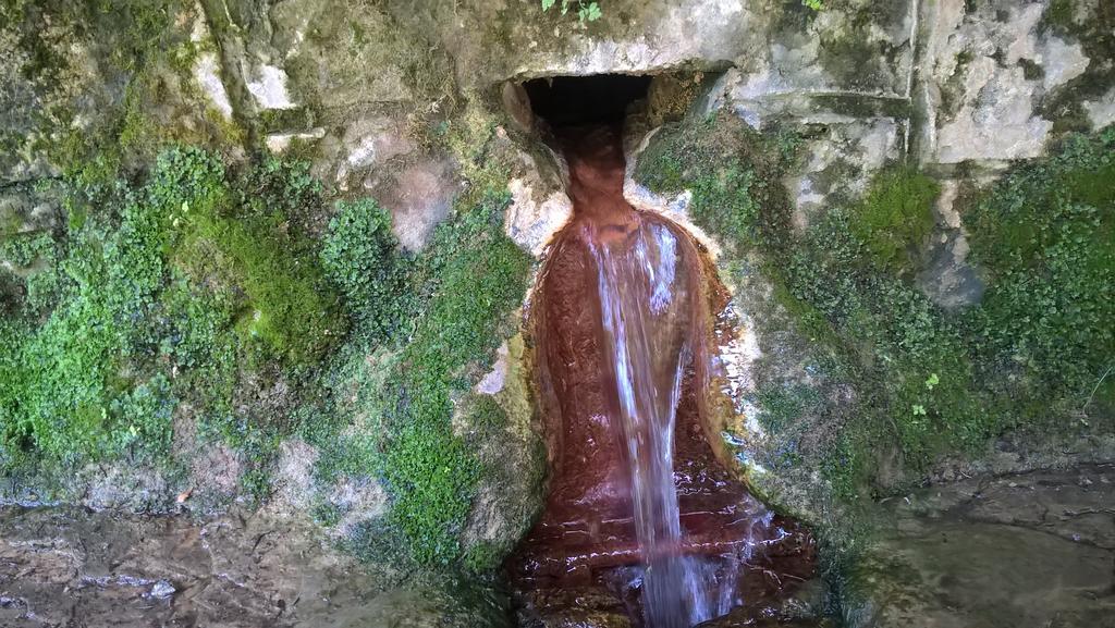 شقة Privat Bene Vyšné Ružbachy المظهر الخارجي الصورة